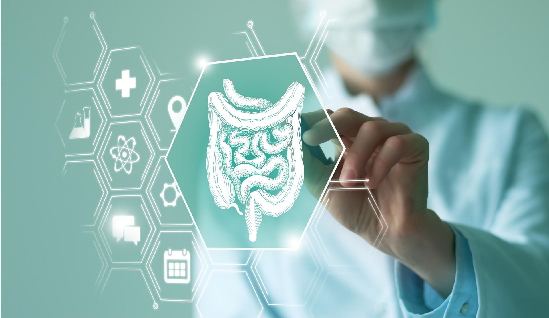 Unrecognizable female doctor holding graphic virtual visualization model of Intestine organ in hands. Multiple virtual medical icons.