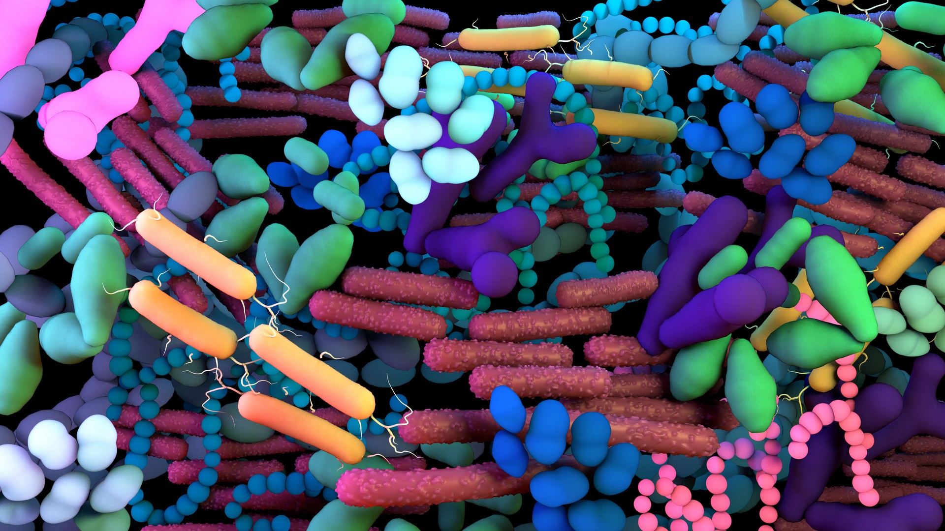 The human Microbiome, genetic material of all the microbes that live on and inside the human body.