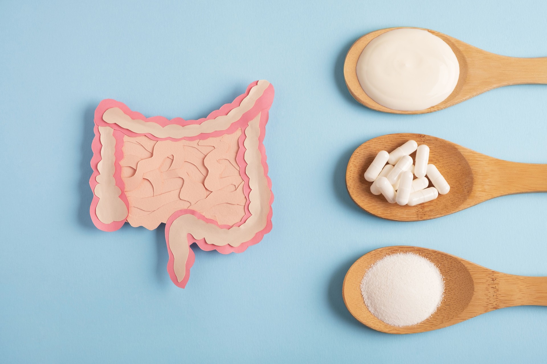 Healthy digestion concept, probiotics and prebiotics for microbiome intestine.